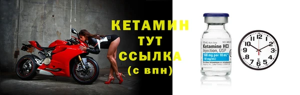 гашик Бородино