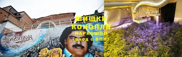 гашик Бородино