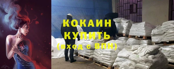 гашик Бородино